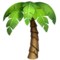 Palm Tree