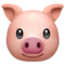 Pig Face