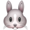 Rabbit Face