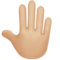 Raised Back of Hand: Medium-Light Skin Tone