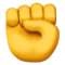 Raised Fist