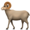 Ram