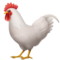 Rooster