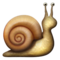 Snail