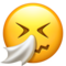 Sneezing Face