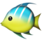 Tropical Fish