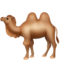 Two-Hump Camel