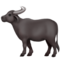 Water Buffalo