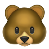 Rosto De Urso