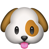 Rosto De Cachorro