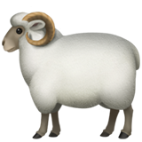 Ovelha