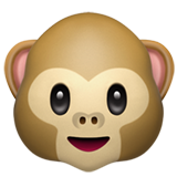 Rosto De Macaco