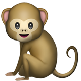 Macaco