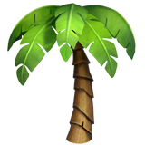 Palmeira