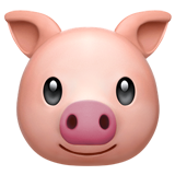 Rosto De Porco