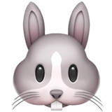 Rosto De Coelho