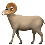 Carneiro
