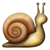 Caracol