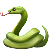 Cobra