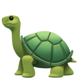 Tartaruga