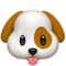 Köpek yüzü Köpek yüzü