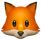 Tilki Tilki