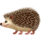 Kirpi Kirpi