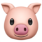 Domuz yüzü Domuz yüzü