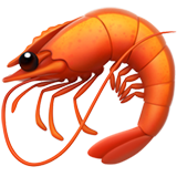 Karides Karides