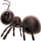 Ant