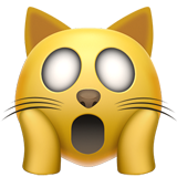 Weary Cat
