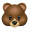 Rosto De Urso