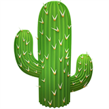 Cacto