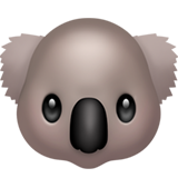Морда коали