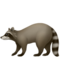 Єнот