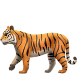 Тигр