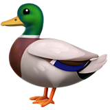 Ördek