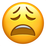 Bitkin yüz