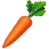 Havuç