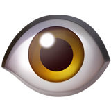 Göz
