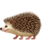 Kirpi