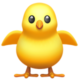 Pintinho De Frente