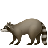 Guaxinim