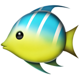 Peixe Tropical