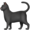 Kara kedi