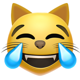 Sevinç gözyaşları döken kedi