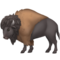 Bison