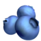 Blaubeeren