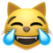 وجه قطة بدموع فرح