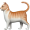 Katze